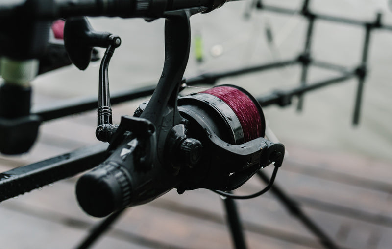 Reels