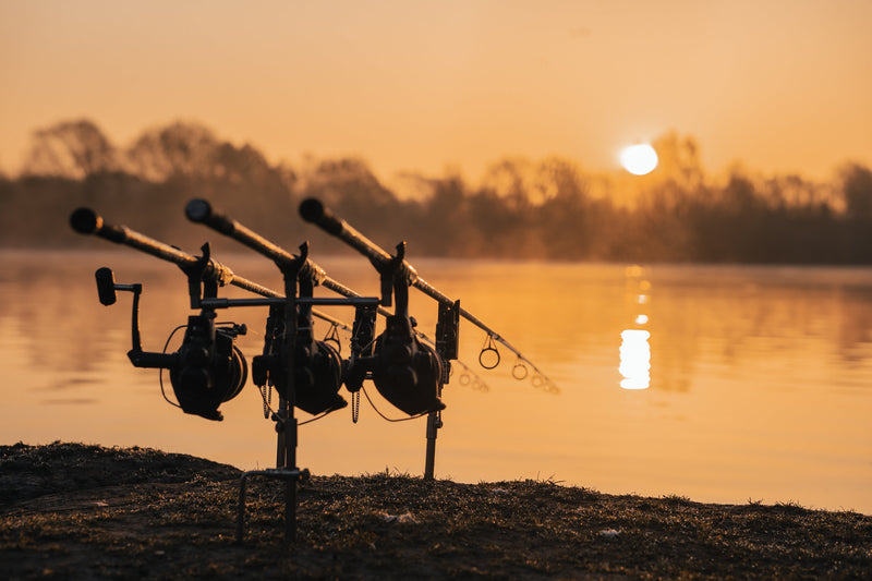Rods